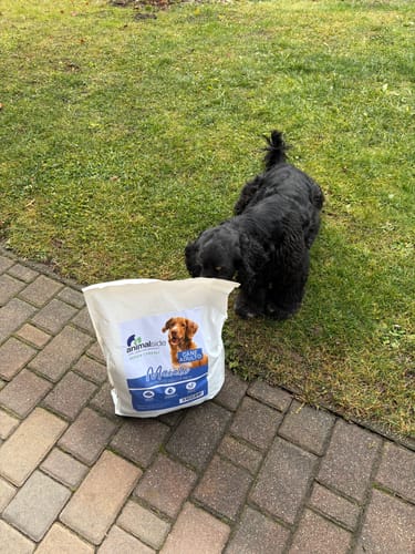 Customer photo review of Linea Grain Free - Maiale con Patate Dolci e Mele - Cane Adulto