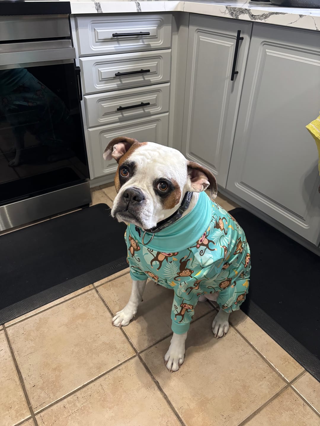 Customer photo review of Dog Pajama - Monkey Business