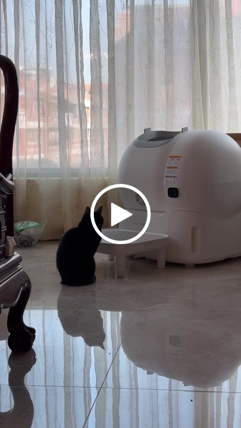 Customer video review of 霍曼自動貓砂機CS106