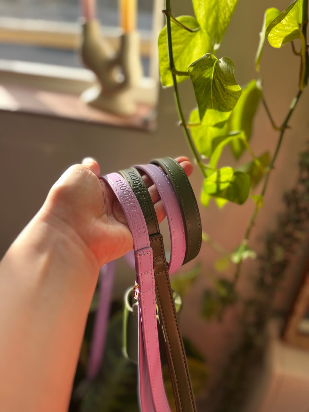 Customer photo review of Lavender Dog Lead