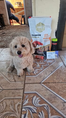 Customer photo review of AMITY SALMÓN PERRO ADULTO 4kg