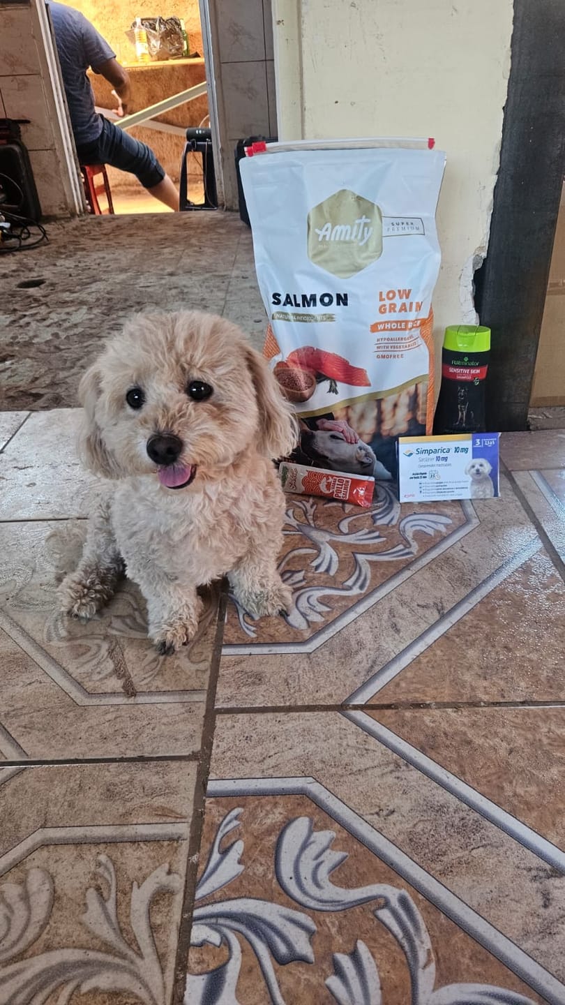 Customer photo review of AMITY SALMÓN PERRO ADULTO 4kg