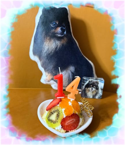 Customer photo review of 本物そっくり♪ペットクッション