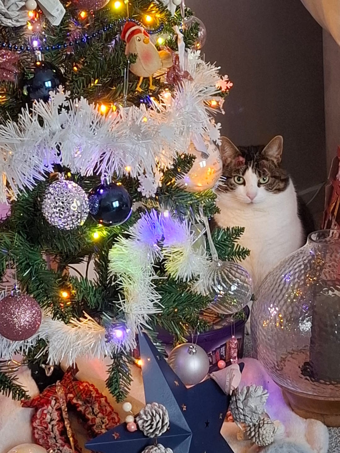 Customer photo review of Allegro Globe Bauble