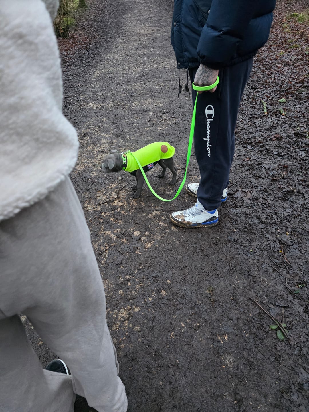 Customer photo review of Staffordshire Bull Terrier 1935® Puppy Fleece Coat - Neon Green