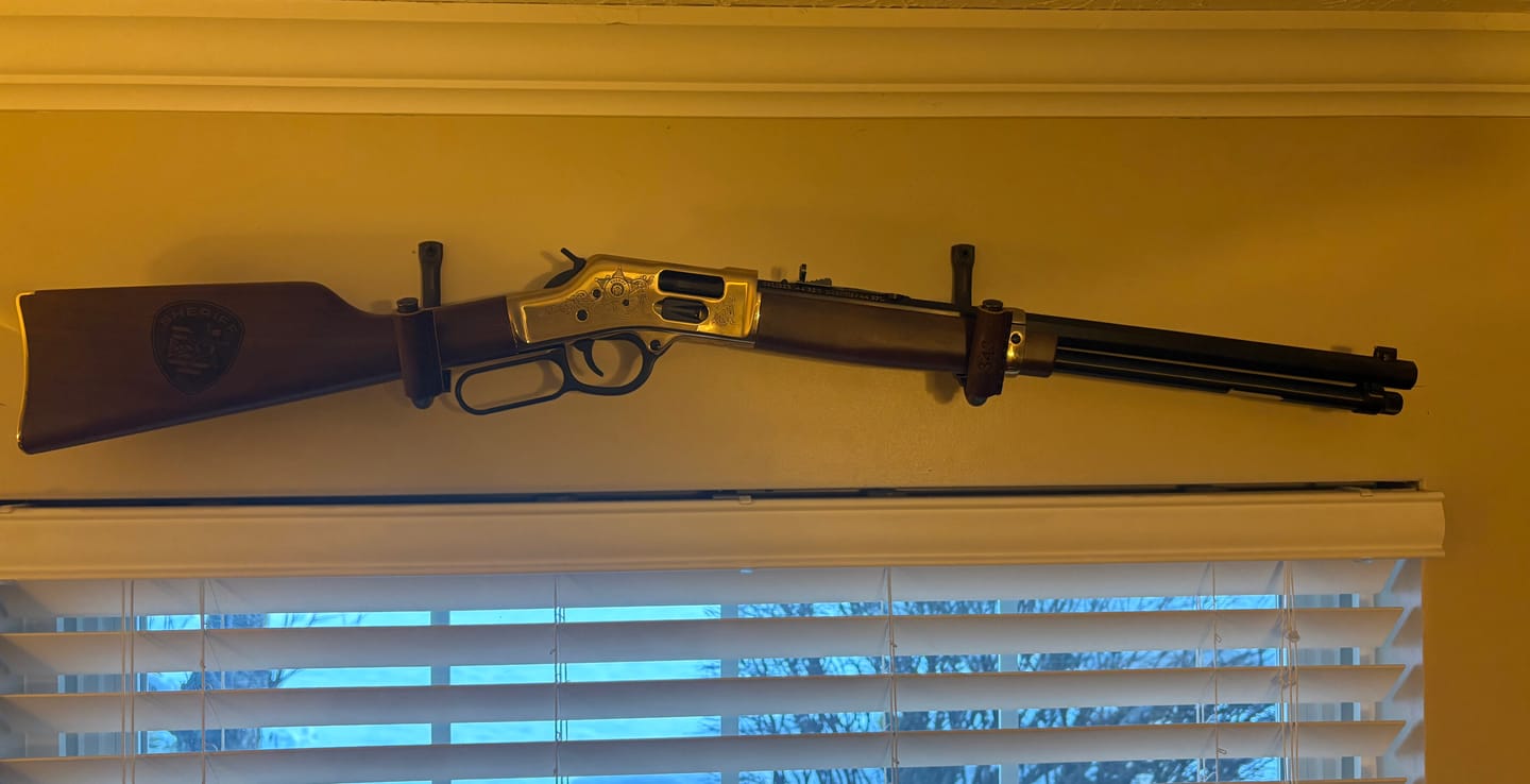Customer photo review of Gun Hooks