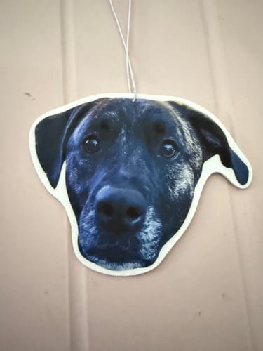Customer's custom air freshener shaped like the head of their black dog, hanging from a string.