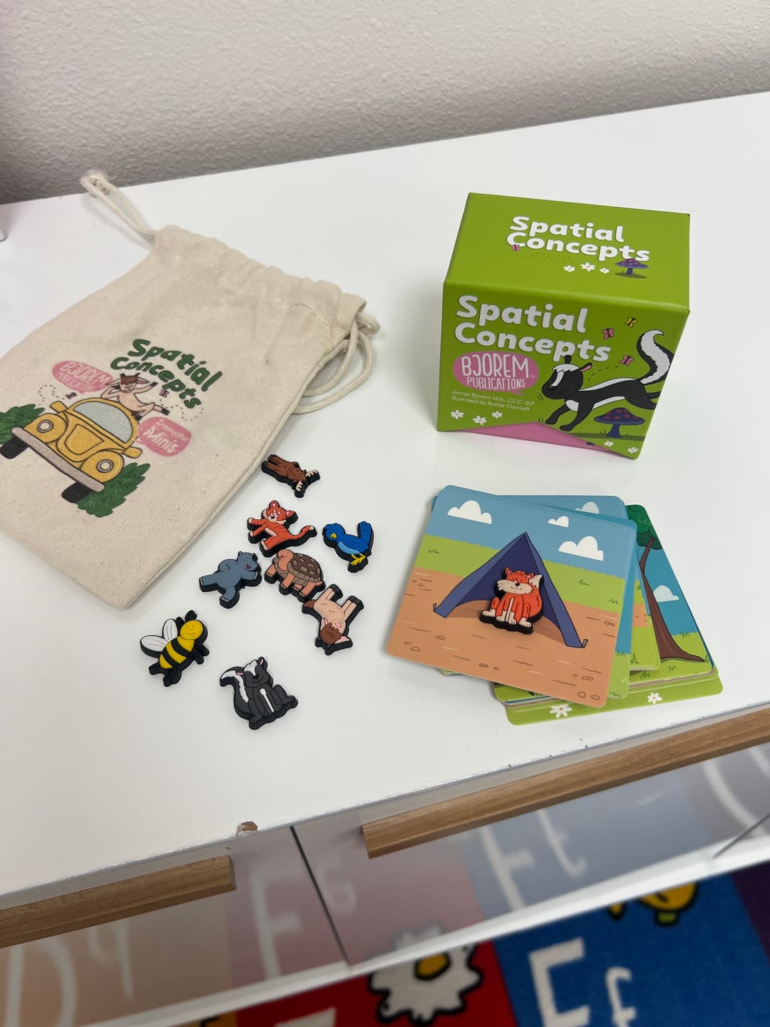 Customer photo review of Bjorem Spatial Concepts - Card Deck and Minis Bundle