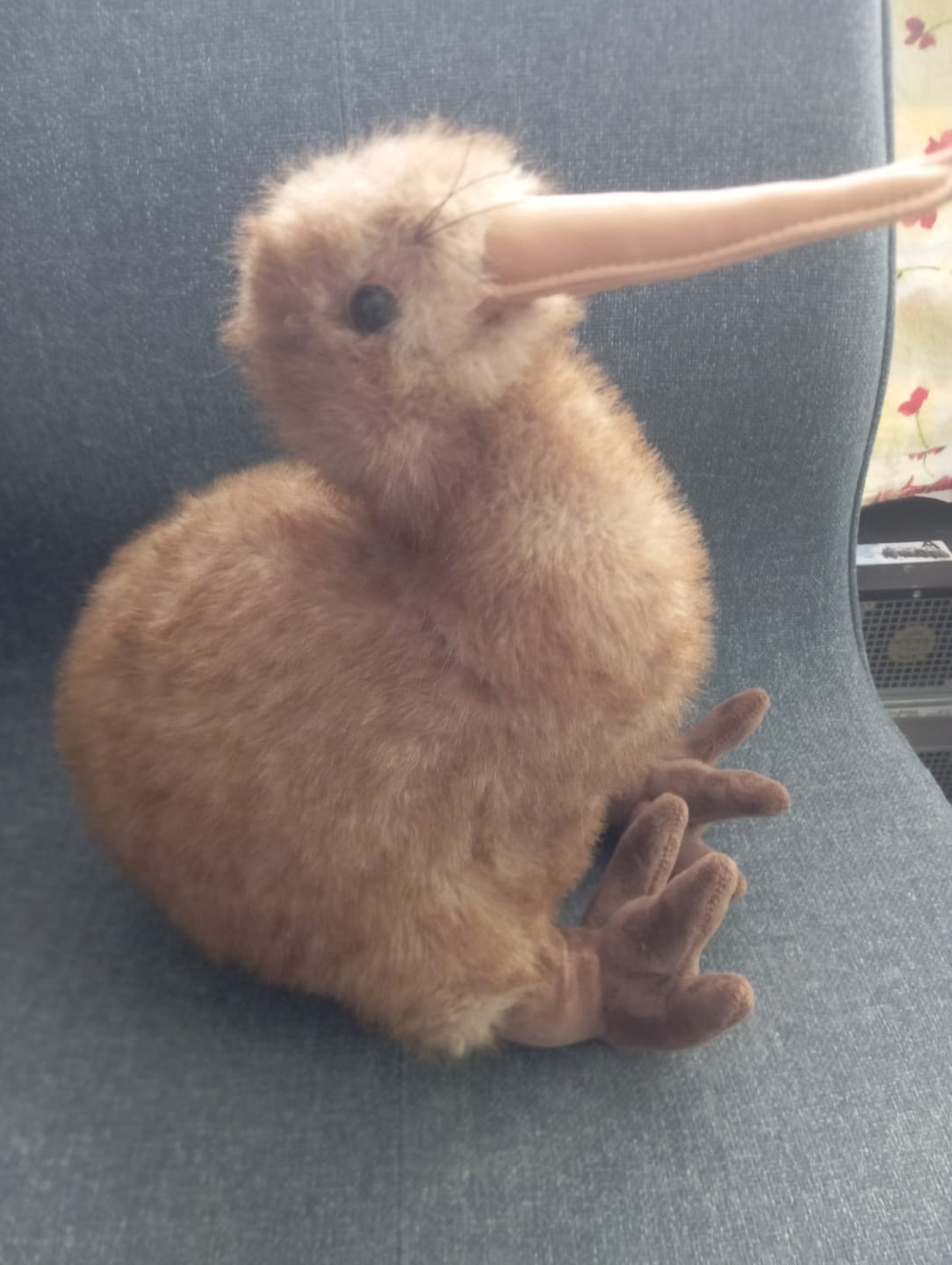Customer photo review of Kiwi Bird Soft Stuffed Plush Toy