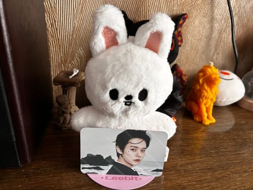 Customer photo review of SKZ dominATE:celebrATE Standing Plush