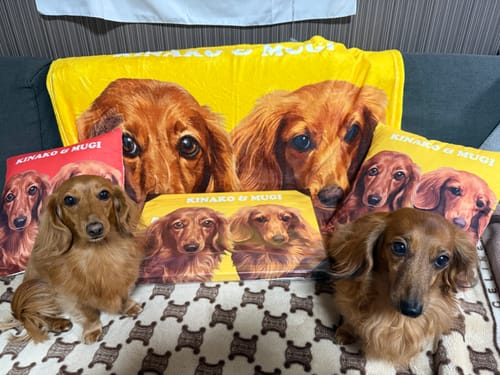 Customer photo review of オーダーメイド クッション