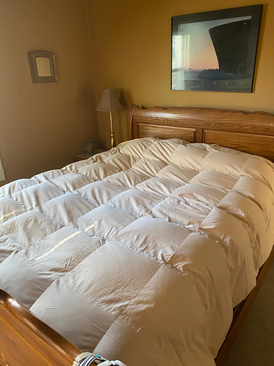 Customer photo review of Organic Cotton Goose Down Comforter