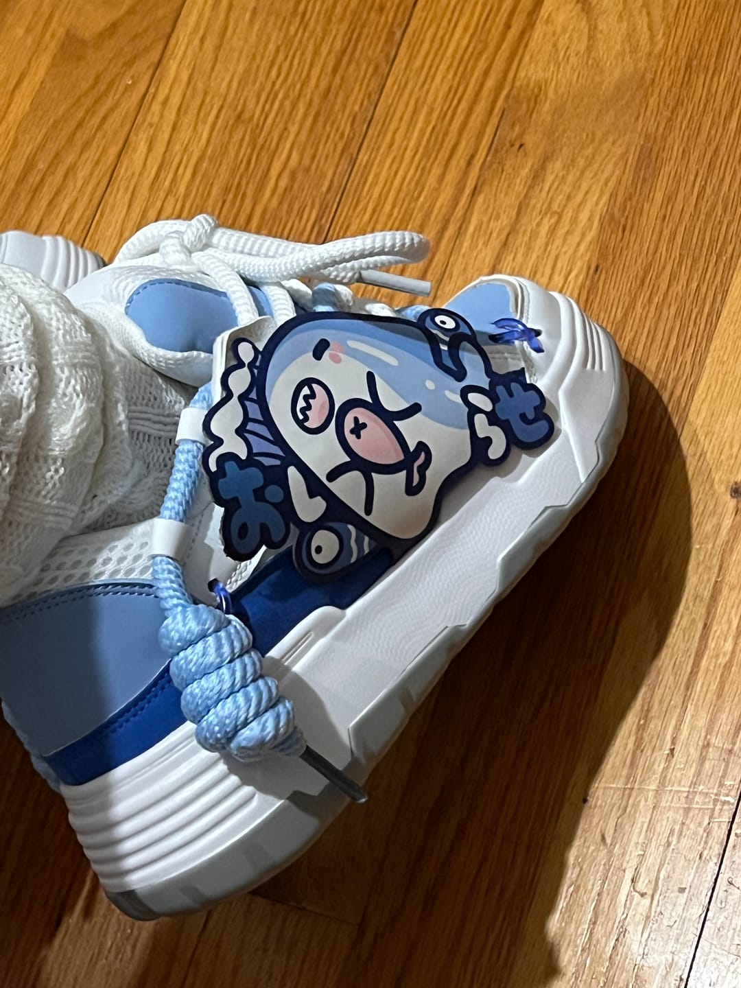 Customer photo review of Ultra Chubby Kabbu Sharku Chunky Shoes - Unisex