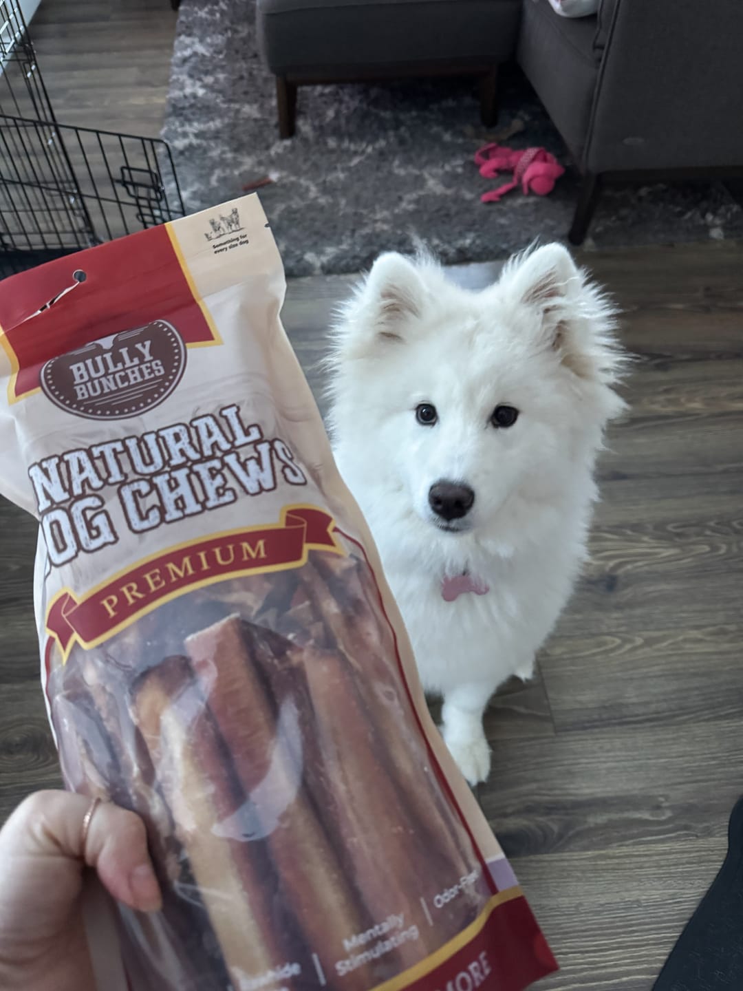 Customer photo review of 6 Inch Jumbo Bully Stick