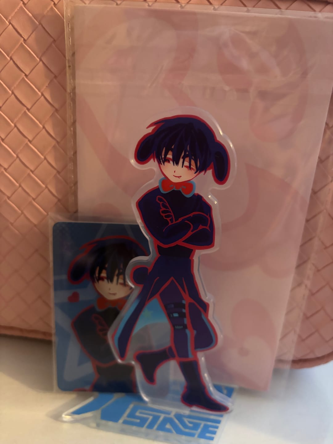 Customer photo review of Alien Stage Rabbit Series Acrylic Standee & Photocard