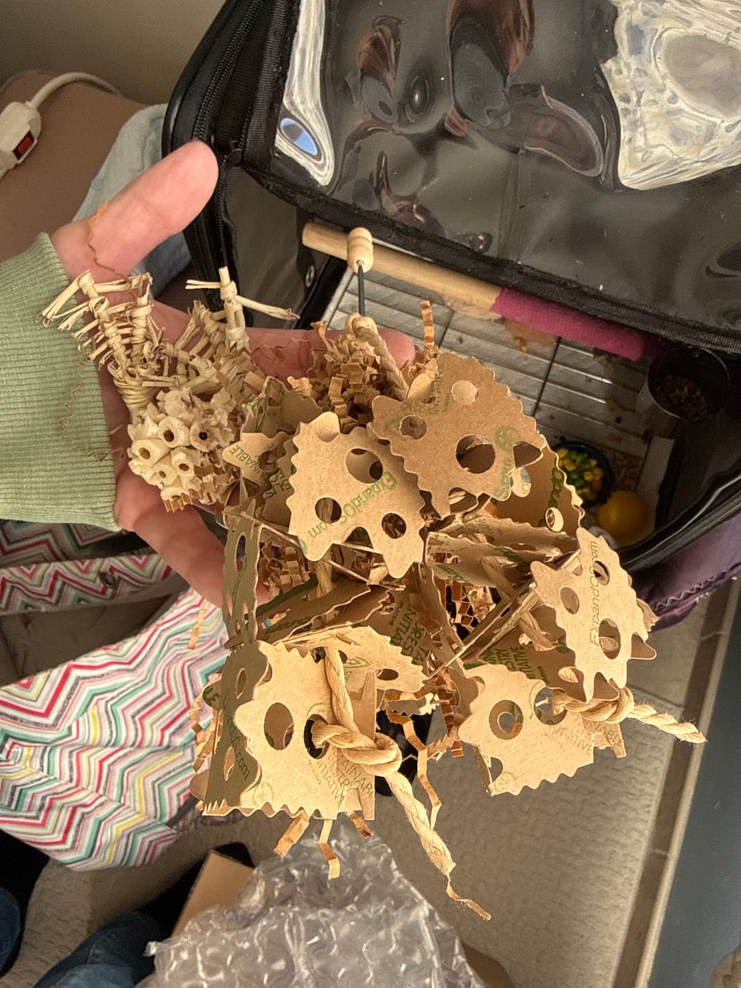 Customer photo review of 2557 Sola Spider