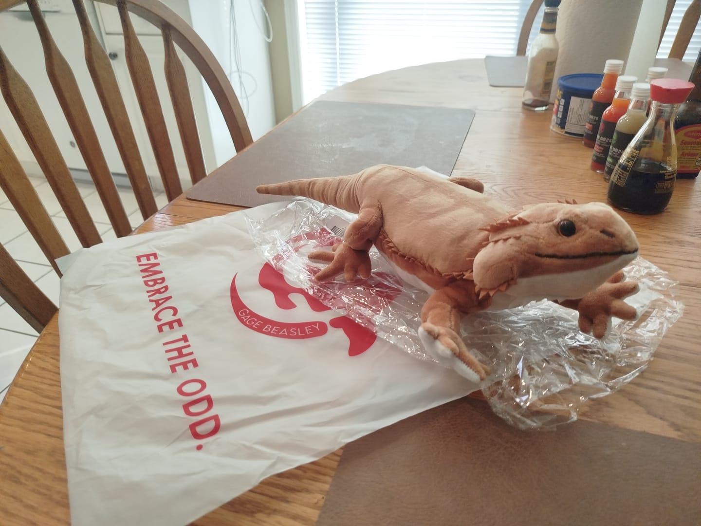 Customer photo review of Bearded Dragon Lizard Soft Stuffed Plush Toy