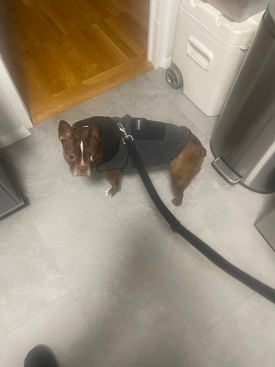 Customer photo review of Reversible Sherpa Jacket - Grey and Black