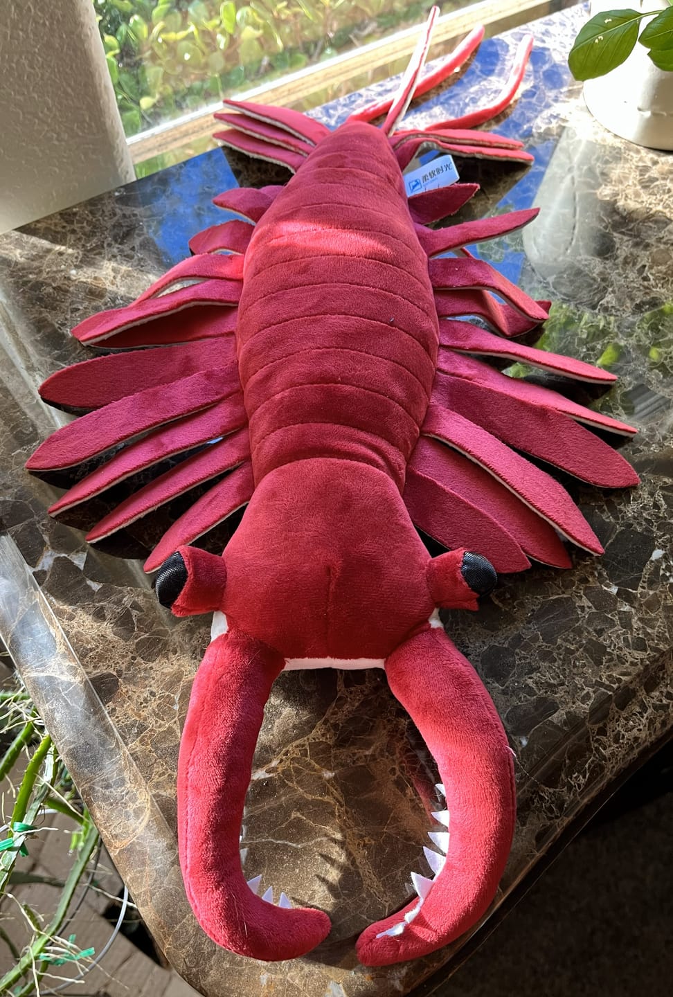 Customer photo review of Anomalocaris Arthropod Soft Stuffed Plush Toy