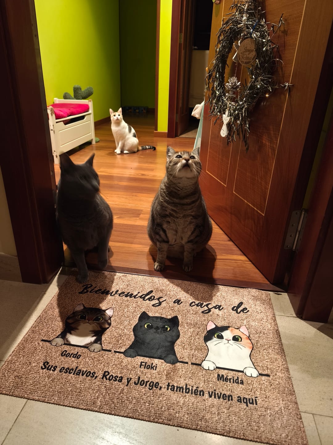 Customer photo review of Bienvenidos a lo de gatos curiosos - Felpudo personalizado