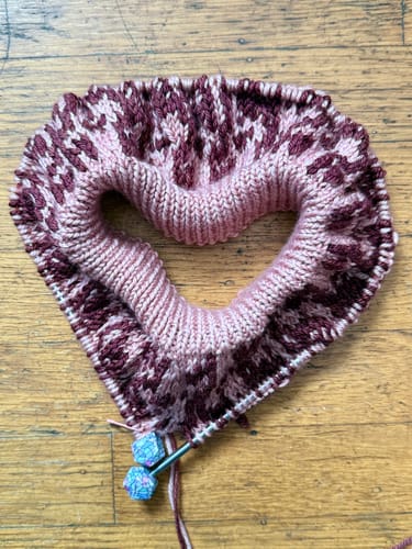 Customer photo review of DK
