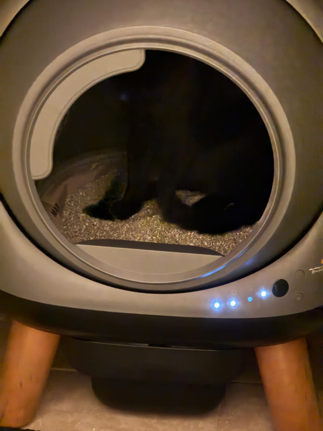 Customer photo review of [Christmas Sale]Orbitie with Wide Opening Self Cleaning Litter Box