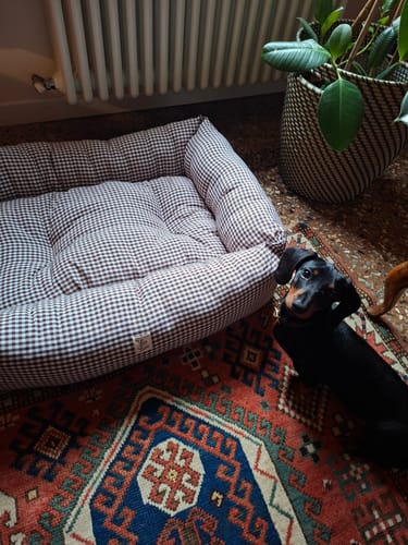 Customer photo review of Divanetto Vichy Marrone