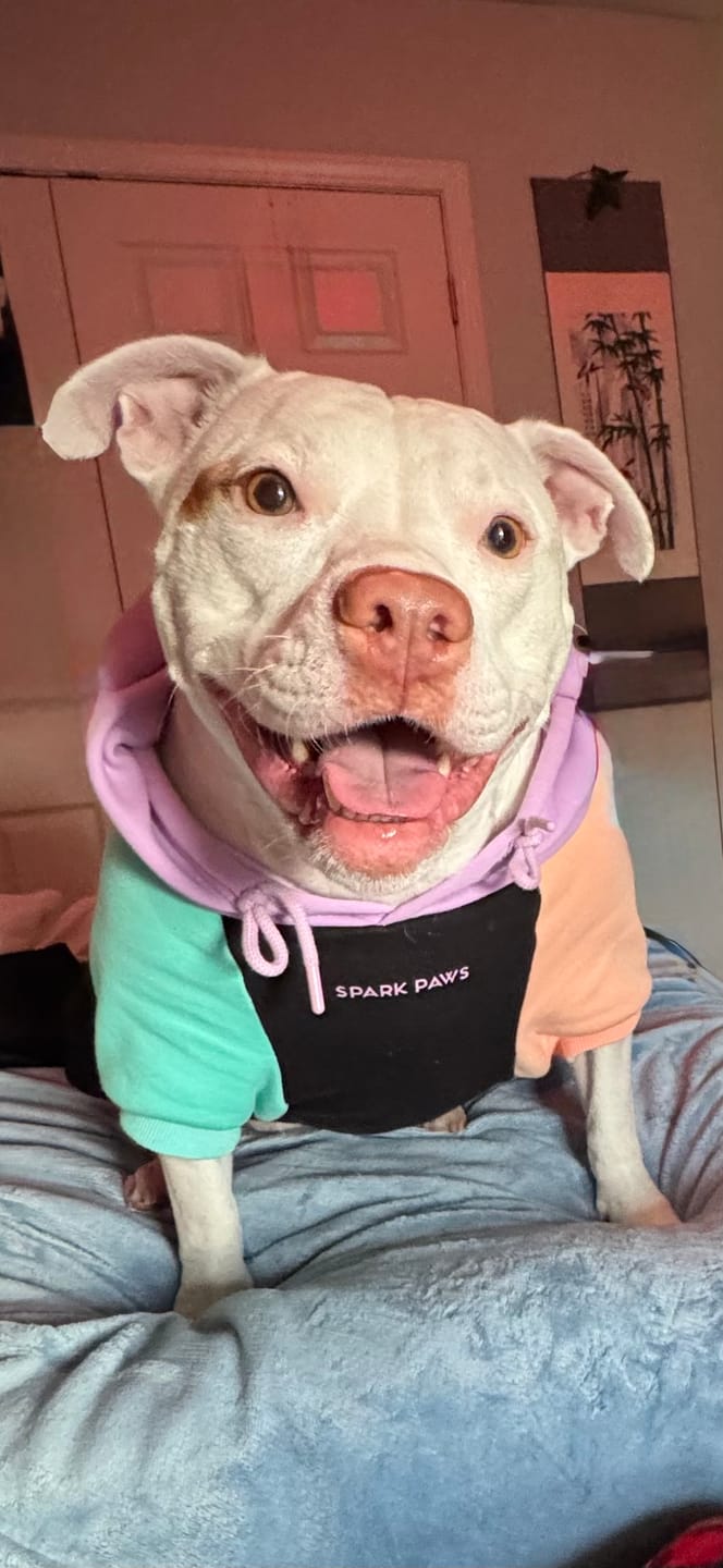 Customer photo review of Cyber Punk Dog Hoodie