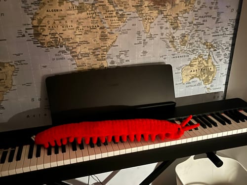 Customer photo review of Velvet Worm Soft Stuffed Plush Toy