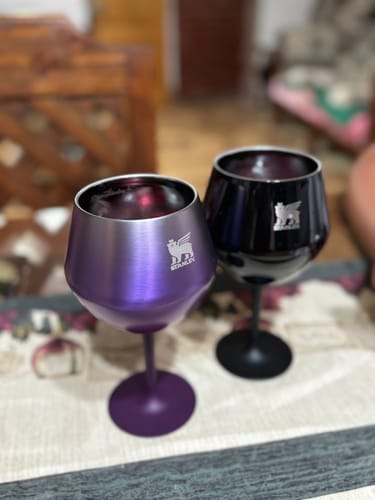 Customer photo review of Copa Cóctel Stanley Black Gloss | 414 ml