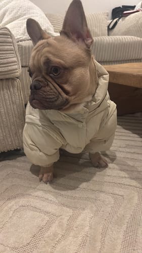 Customer photo review of Marshmallow | The Modular Puffer
