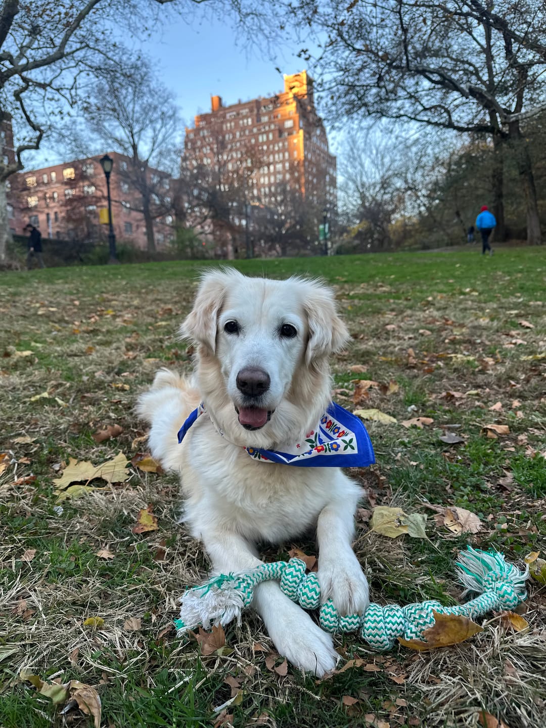 Customer photo review of Scandinavian Bandana