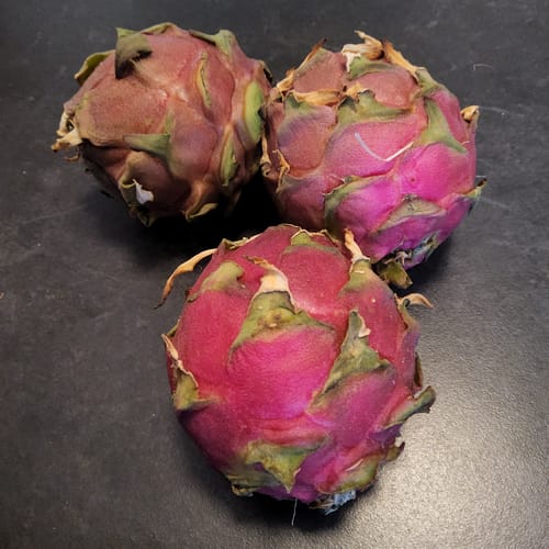 Rezensent zeigt drei reife, rote Drachenfrüchte auf einer dunklen Arbeitsplatte.