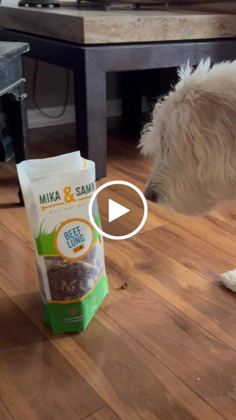 Customer video review of Beef Lung Chunks 1lb