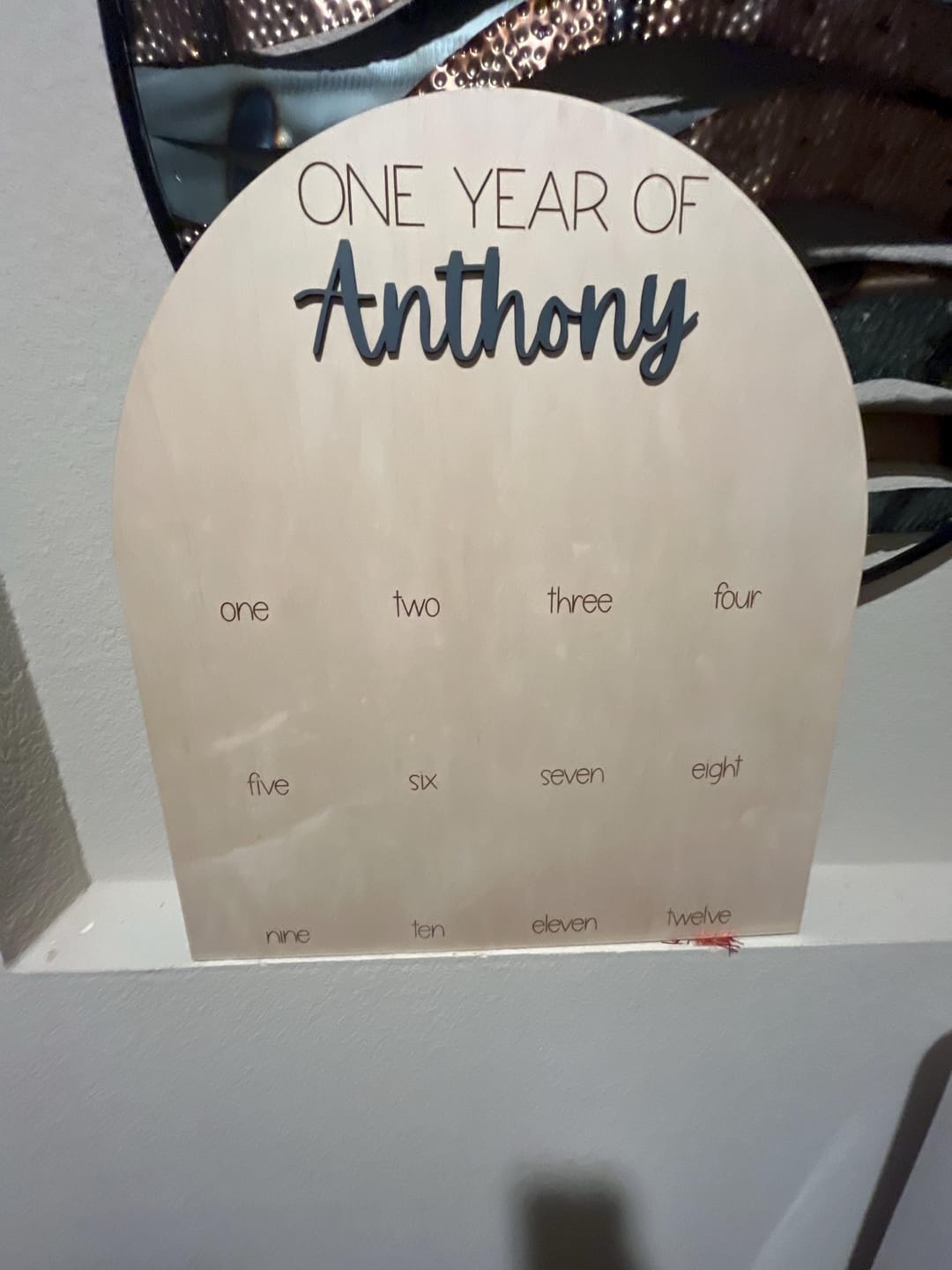 Customer photo review of One Year Of Photo Board