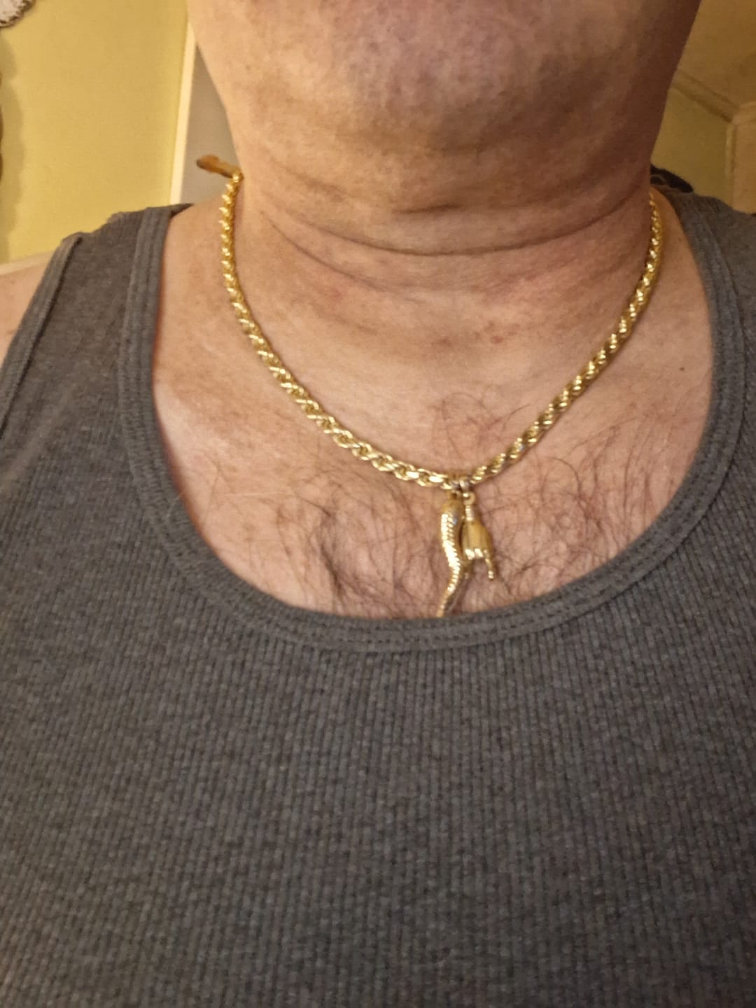Customer photo review of ROPE 14K GOLD VERMEIL CHAIN