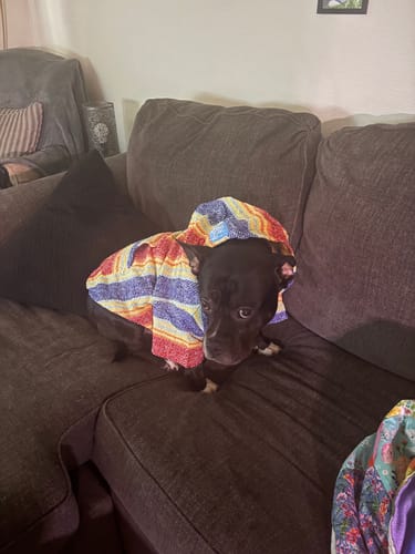 Customer photo review of Playa Poncho – Mystery Color (Bella, Charlie, or Fun Edition)