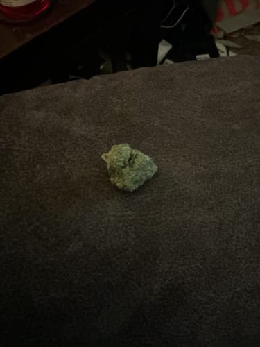 Customer photo review of Blue Dream