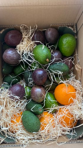 Kunde zeigt die Lieferbox mit roten Passionsfrüchten, Baby-Avocados und Orangen in Stroh.
