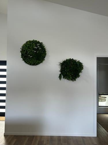 Customer photo review of Slimline Artificial Green Wall Disc Art 60cm Country Fern UV Resistant (White)
