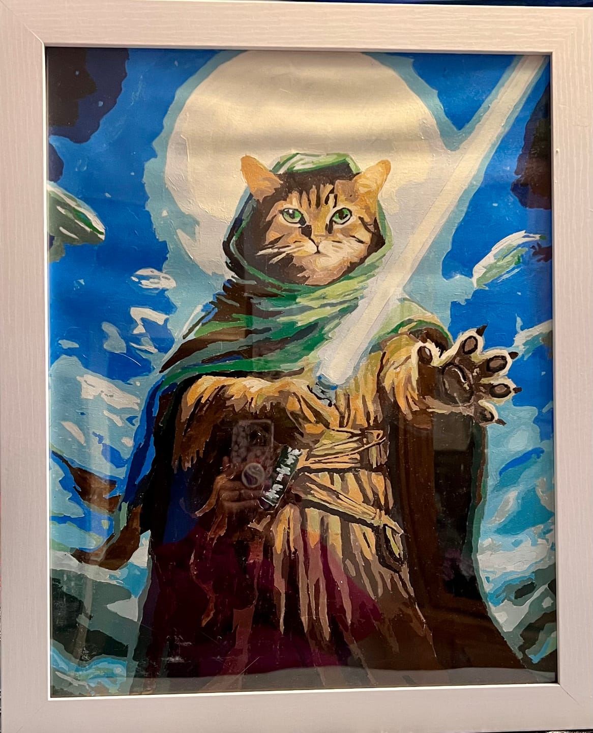 Customer photo review of Cat Saber