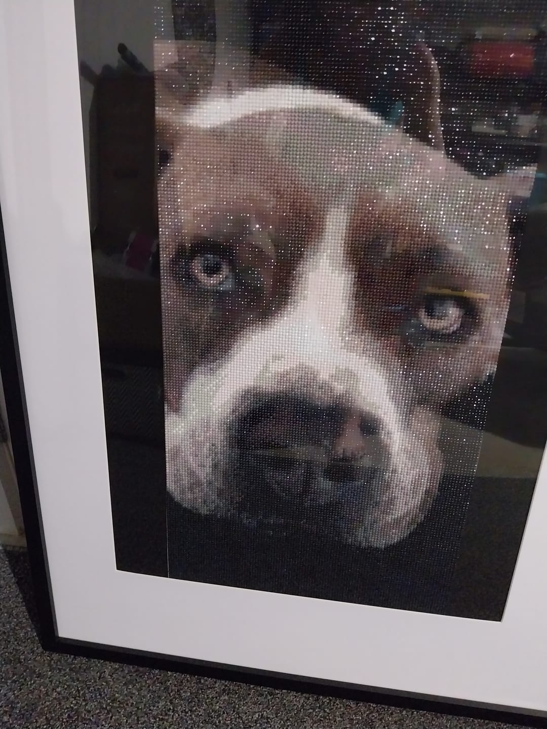 Customer photo review of Custom Diamond Painting