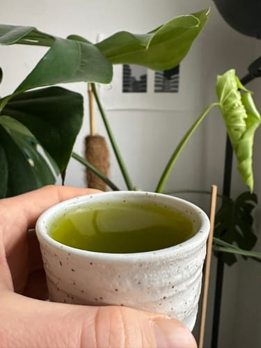 Customer photo review of Fukamushi Sencha Kagoshima Murasaki