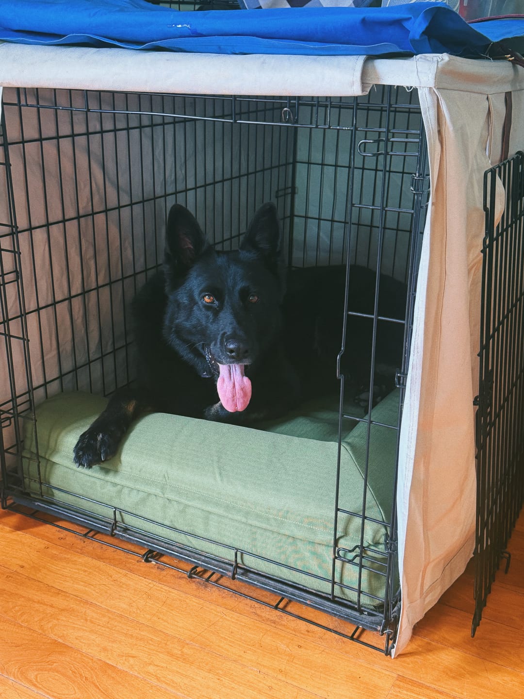 Customer photo review of Pillow Edge Crate Mat Cover