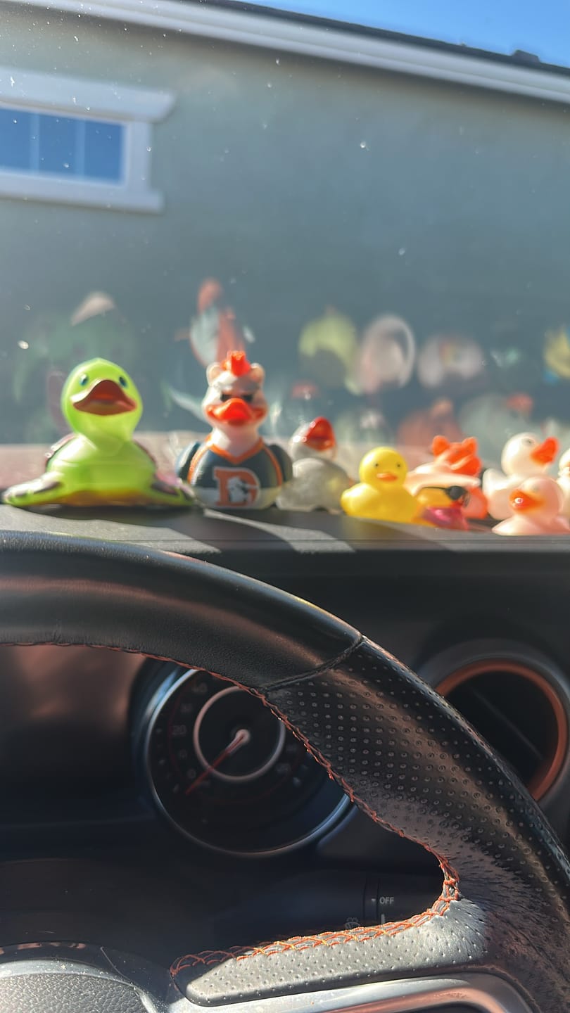 Customer photo review of DENVER BRONCOS DUCK – BUILT FOR SUNDAYS. READY FOR GAME DAY.