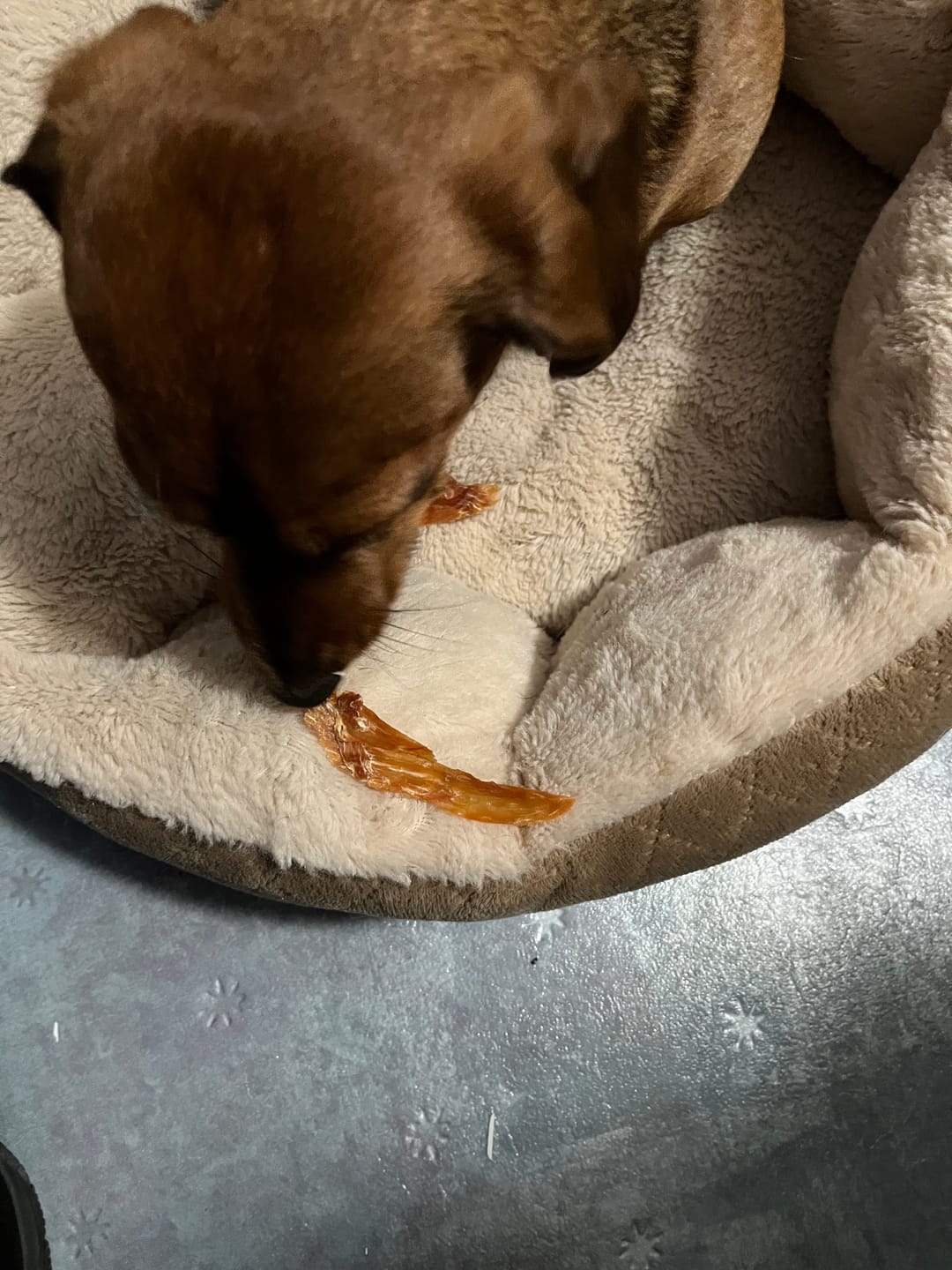 Customer photo review of Pumpkin Chicken