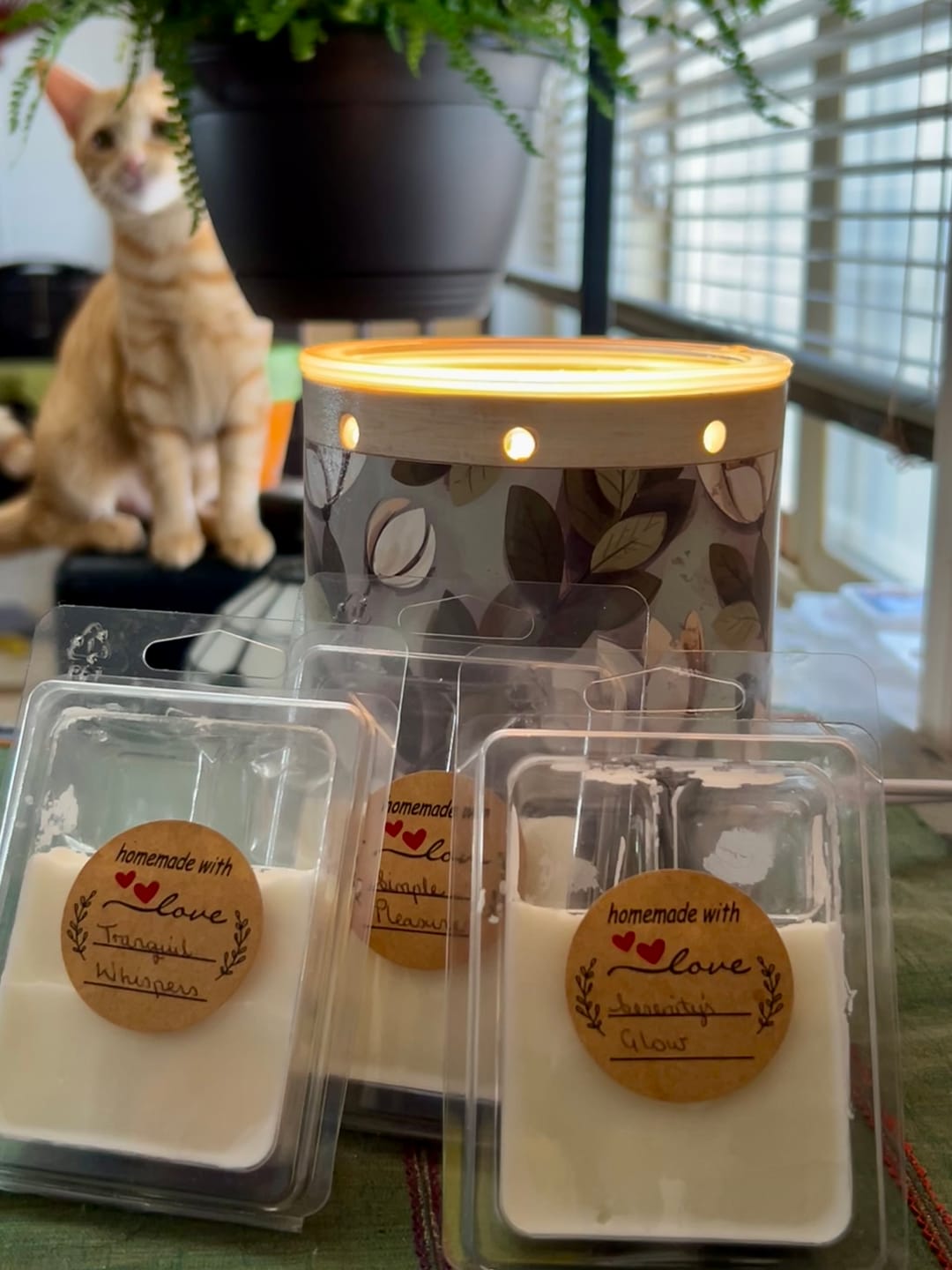 Customer photo review of The CORE Collection - Wax Melt Sampler Pack