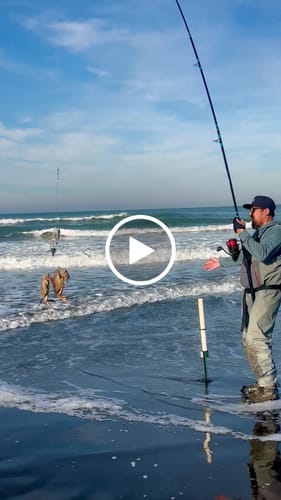 Customer video review of 12ft "Secret Weapon" Crab Snare/Surf No Excuses Travel Rod, 5-Piece Heavy Action