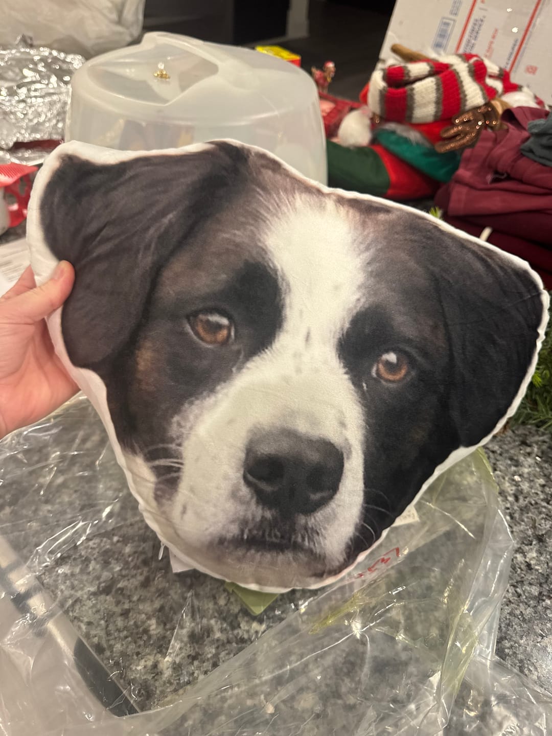 Customer photo review of Custom Pet Face Shaped Pillow from Your Pet Photos, Customized Pet Head Pillows