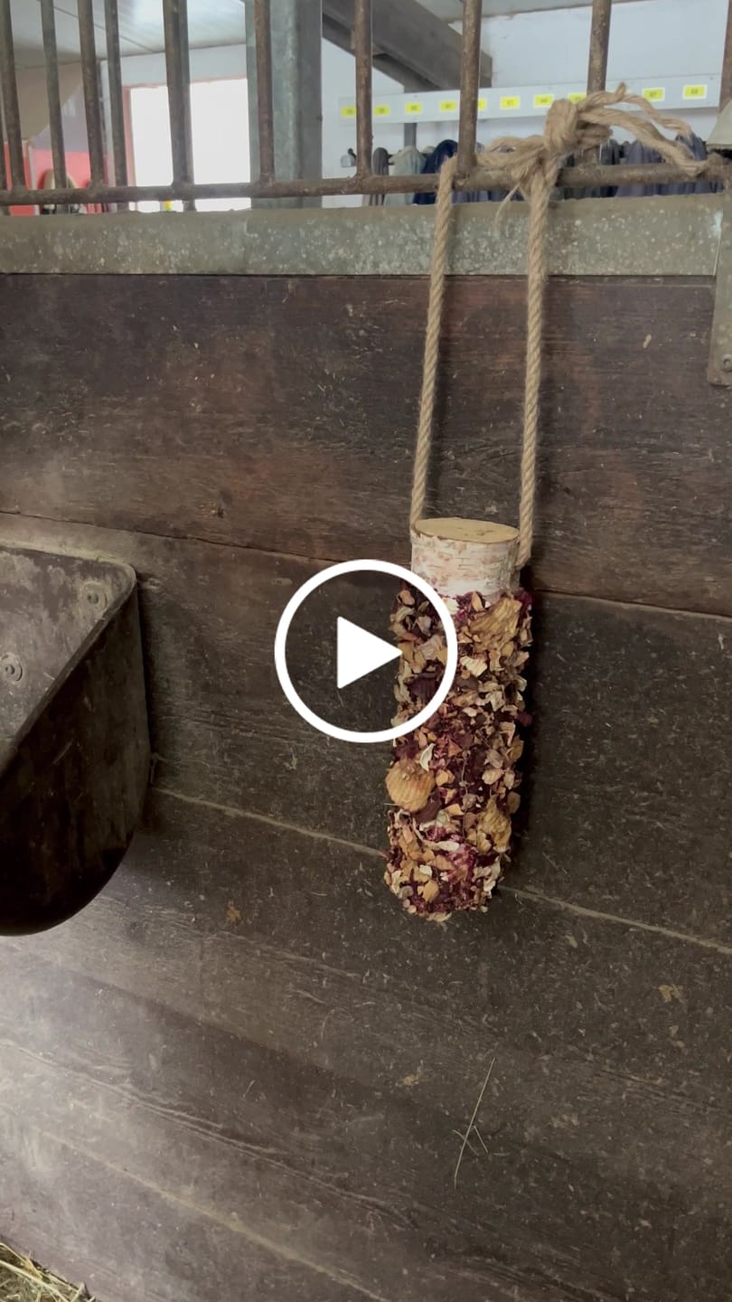 Customer video review of Knusperholz - limitiert! Der natürliche Knabberspaß für dein Pferd